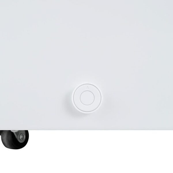 Hisense FT321D4AWLE - Congelador Horizontal Defrost E Ancho 96 Cm 248 Litros - Imagen 6