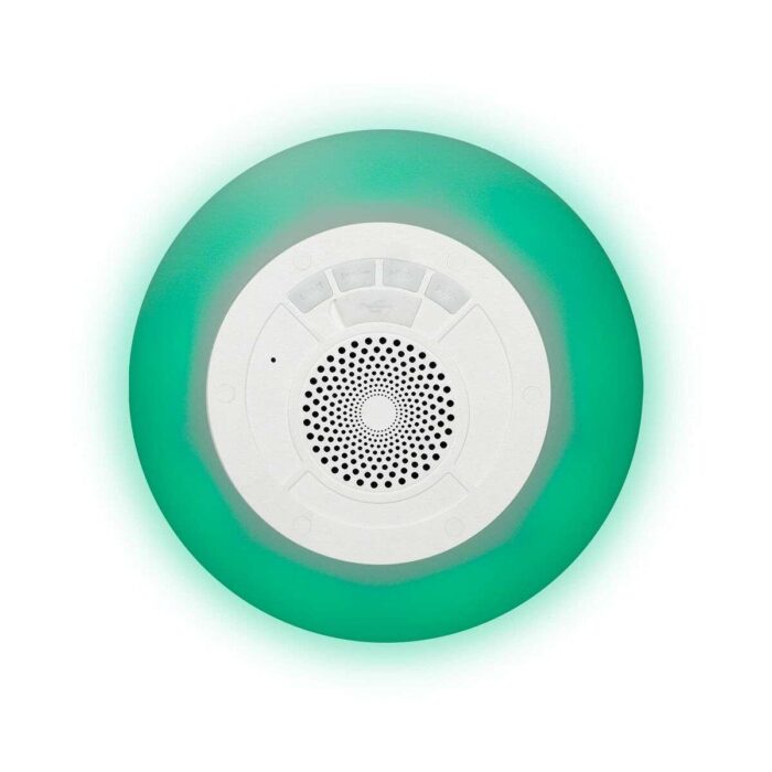 S1905995_6