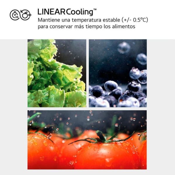 Lg GSBC40PYPE - Frigorifico Combi Nofrost E Alto 179 Cm Ancho 91 Cm - Imagen 8