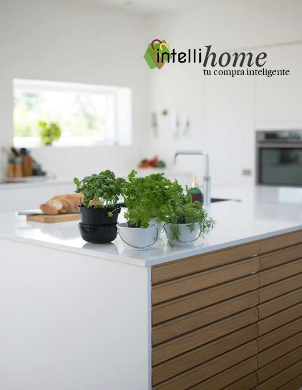 Intellihome inicio 65 Intellihome, tu compra inteligente para tu hogar